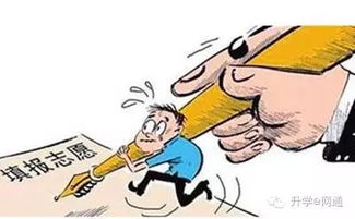 填志愿，填的真是自愿嗎？——中高考志愿填報(bào)咨詢背后的思考